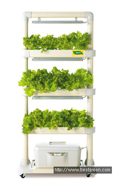 new-hydroponic-img01.jpg