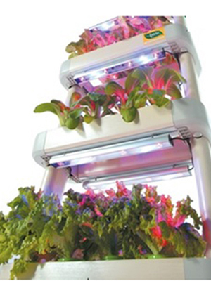 new-hydroponic-img03.jpg