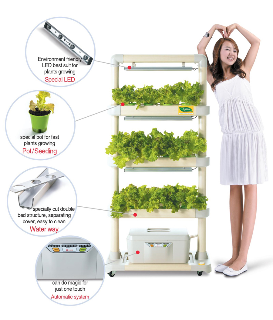 new-hydroponic-img05.jpg