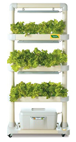 new-hydroponic-img07.jpg