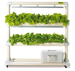 new-hydroponic-img08.jpg