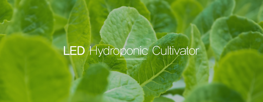 new-hydroponic.jpg